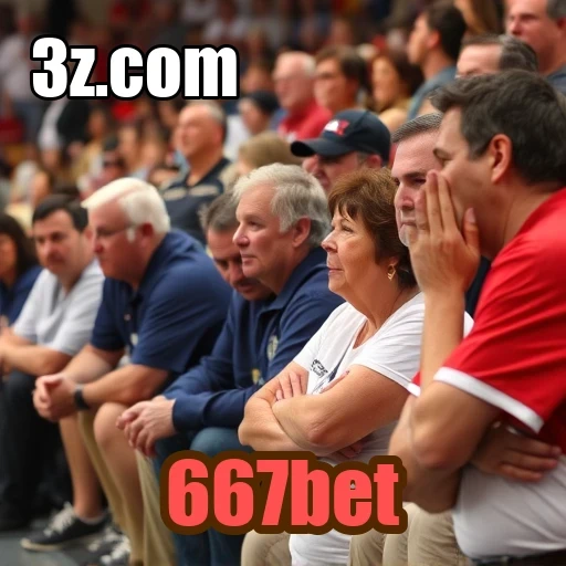 Features do 667bet: Suporte ao Jogador em Alta